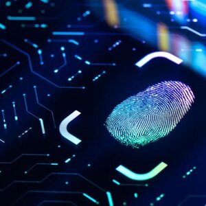 Dijk en Waard techniek image 3