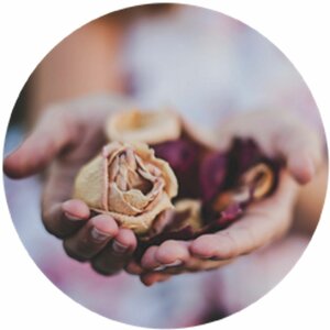 Transiko Therapie & Coaching image 1