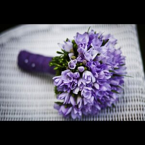 Aline Uitvaartbegeleiding image 2