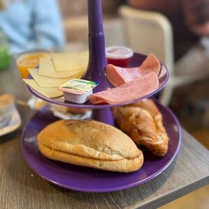 DigiBeet en Katten Café image 3