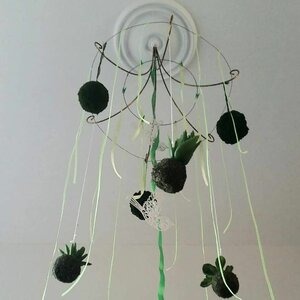 A Lifestyle 4 All image 1