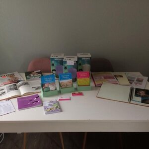 De Kleine Vlinders image 1