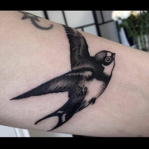 Tattoo by Icon image 5