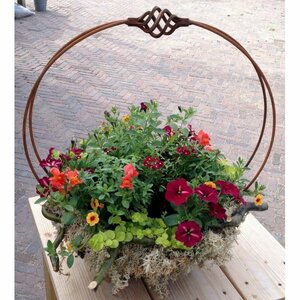 De Vier Seizoenen image 1