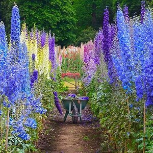 Spaansen Bloemen V.O.F. image 1