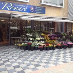 Bloemen- en Cadeaushop Romare image 1