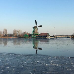 Swarte Walvis B.V. image 1