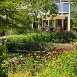 Stichting Hospice Dignitas image 2