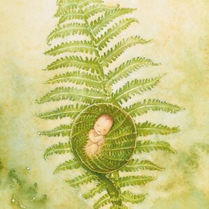 Aurora Productions image 3