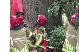 Brandweer red man uit hoogwerker