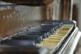 Waterlands Orgelfestijn in Oosthuizen