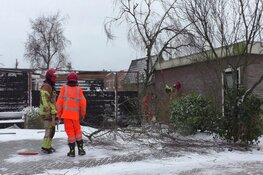 Stormschade in Oosthuizen