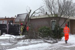 Stormschade in Oosthuizen