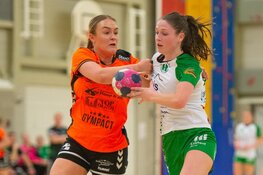Handbal Volendam: Dames onderuit, winst voor HS1 en Jong Volendam