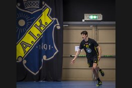 Internationale droom komt uit voor Zlatko Pavicevic