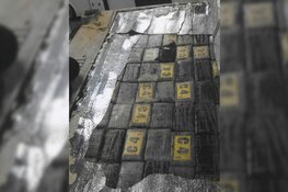 Negen verdachten in Warder aangehouden voor invoer cocaïne