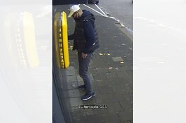 Gezocht: Wie herkent deze pinner?