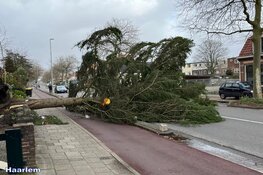 Fotoalbum: Noord-Holland in de greep van storm Eunice