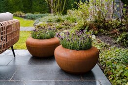 Plantenbakken van Adezz: Groen Leven in Stijl