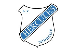 Zaterdag 1 juni rommelmarkt  in Middelie!