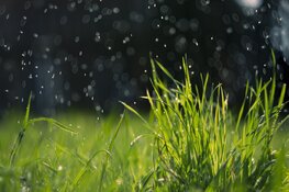 Komende week wisselvallig en fris voor de tijd van het jaar