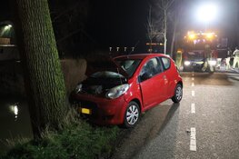 Auto tegen boom gereden in Purmer