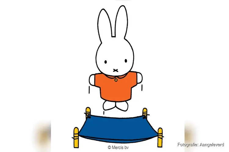 Rommelmarkt Middelie – koopjes, gezelligheid én gratis sporten!