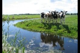Wij zijn op zoek naar een burgerlid voor de gemeentelijke adviescommissie fysieke leefomgeving