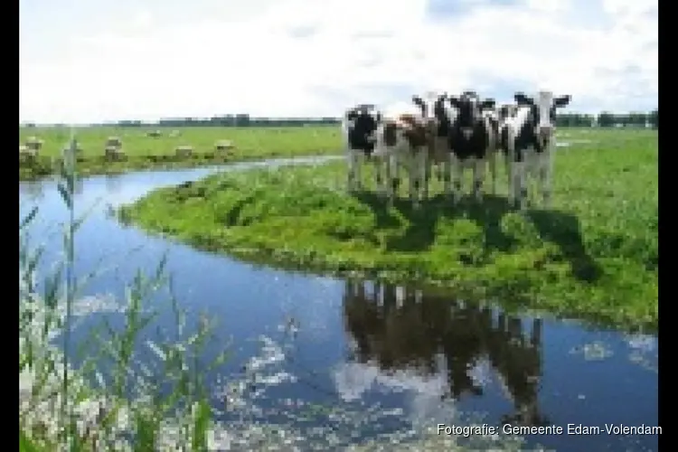 Wij zijn op zoek naar een burgerlid voor de gemeentelijke adviescommissie fysieke leefomgeving