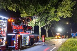 N247 tijdelijk afgesloten vanwege loshangende tak