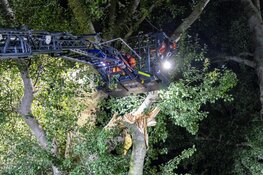 N247 tijdelijk afgesloten vanwege loshangende tak