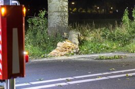 N247 tijdelijk afgesloten vanwege loshangende tak