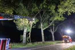 N247 tijdelijk afgesloten vanwege loshangende tak