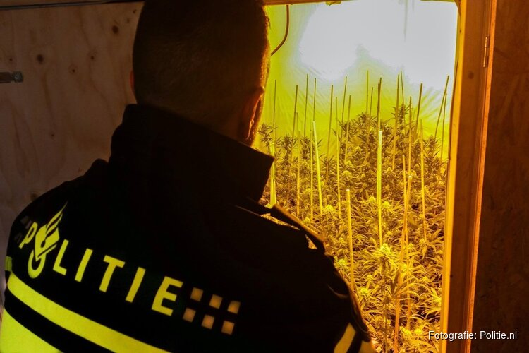 Hennepkwekerij ontdekt onder woning in Monnickendam