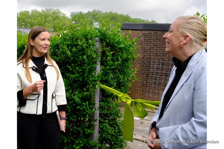 Achtertuin in Singelwijk in Edam wordt buurtmoestuin