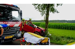 Hulpdiensten bevrijden automobilist na botsing tegen boom in Purmer