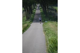 De 45e Univé Zeevangsloop vindt plaats op 13 september 2026 - inschrijving geopend