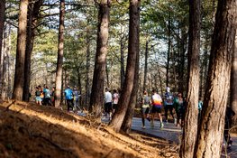 Inschrijving Groet uit Schoorl Run 2027 geopend