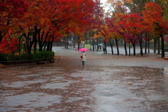 Onstuimig weekend bij ingaan wintertijd, daarna rustiger herfstweer
