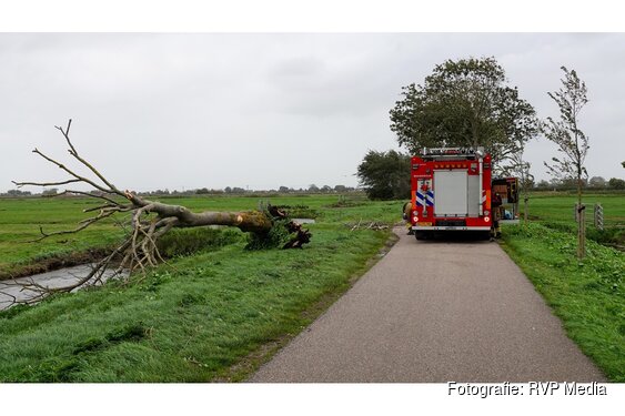 Omwonende haalt omgewaaide boom van weg in Kwadijk