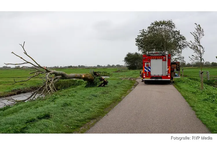 Omwonende haalt omgewaaide boom van weg in Kwadijk