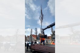 Waterlandse boomfeestdag 2018
