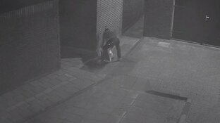 Dierenbeul propt eend hardhandig in put in Volendam