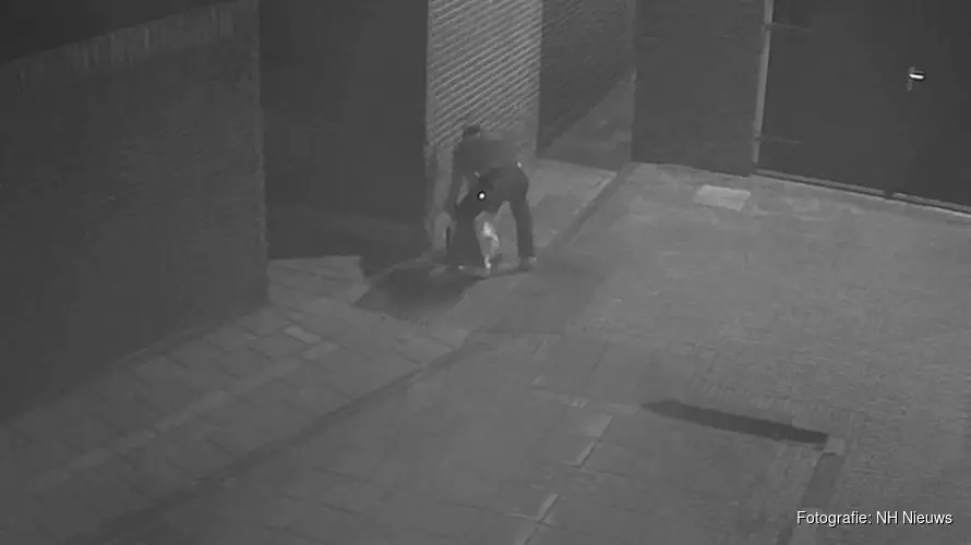 Dierenbeul propt eend hardhandig in put in Volendam