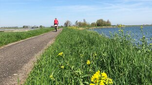 Versterking Markermeerdijken kan van start