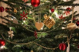 Eindelijk antwoord op de prangende vraag: wanneer mag de kerstboom?