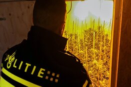 Hennepplantage ontmanteld