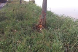 Auto tegen boom langs N247