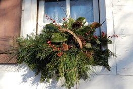 Geen witte kerst...rond de acht graden en wisselvallig