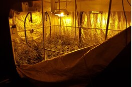 Grootschalige controle op bedrijventerrein Edam